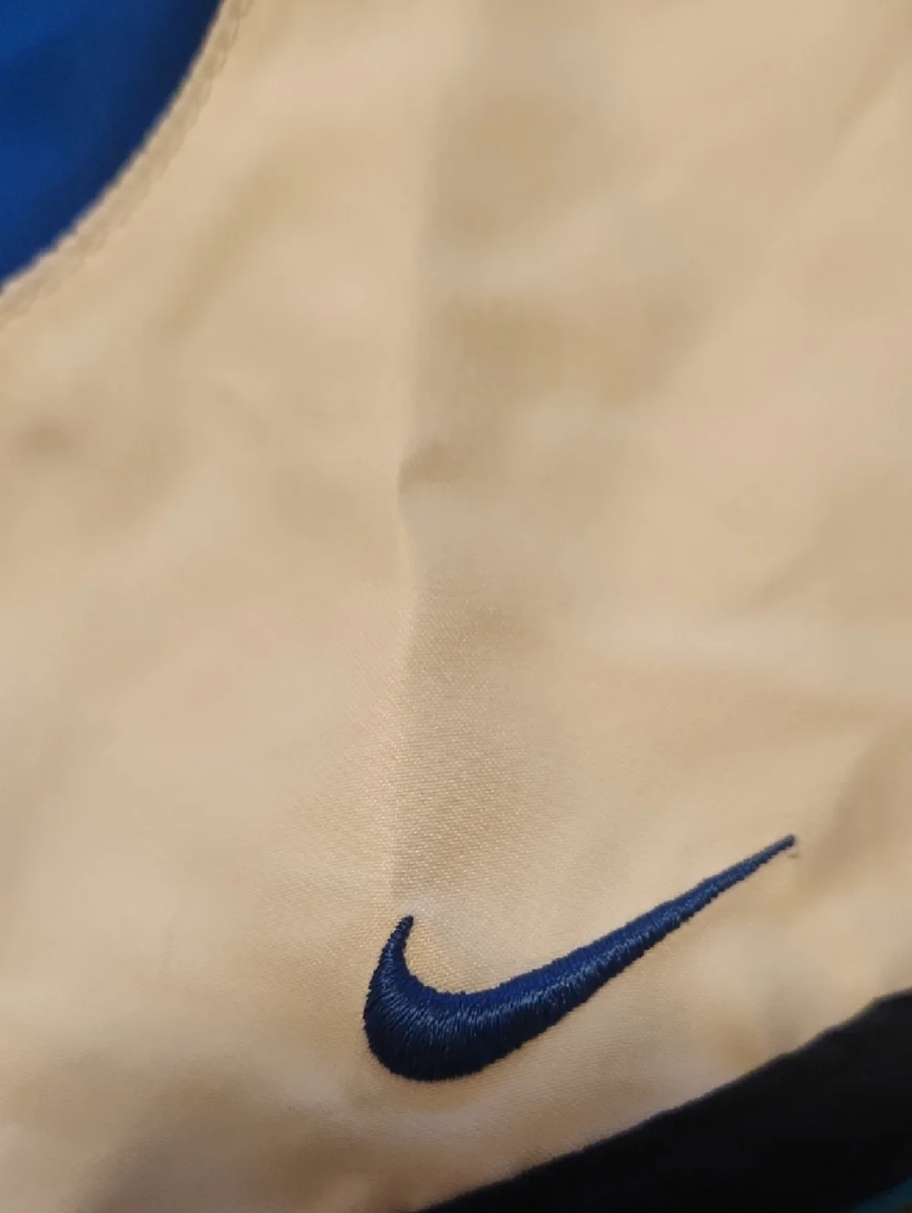 Nike Black and Blue Swim Shorts with White Swoosh